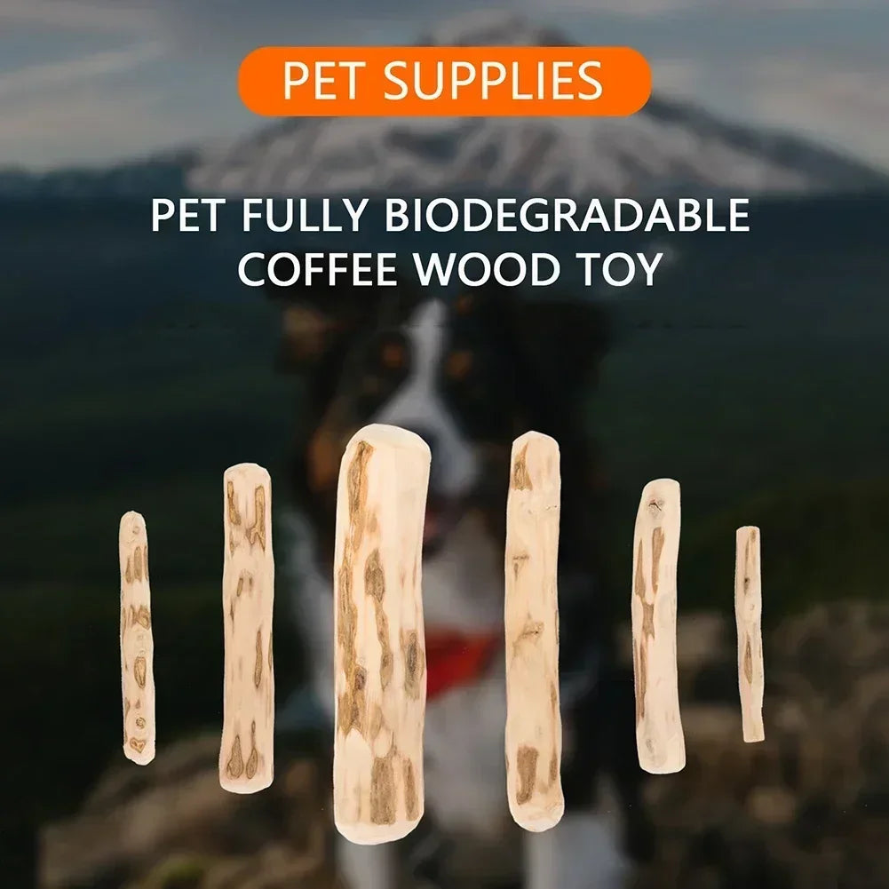 Coffee Wood Dog Chew Stick – Natural Teeth Cleaner & Anxiety Relief Toy