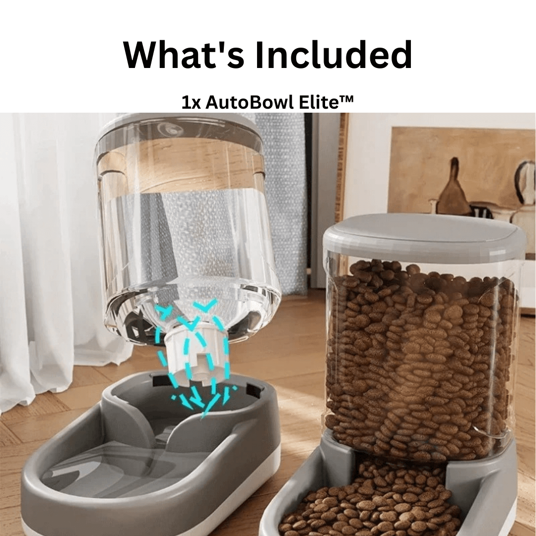 AutoBowl Elite™ – Eat, Drink, Relax – On Repeat