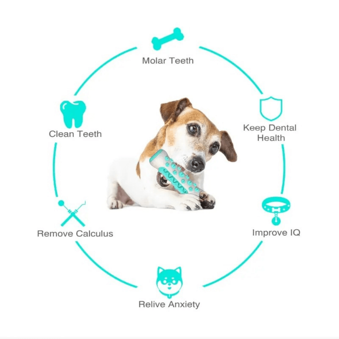 GnawGuard™ – Daily dental care disguised as fun.