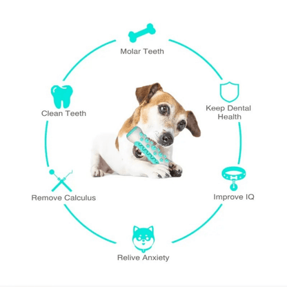 GnawGuard™ – Daily dental care disguised as fun.