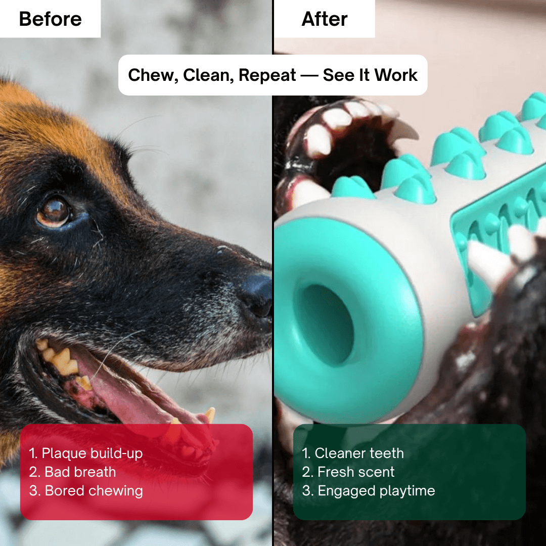 GnawGuard™ – Daily dental care disguised as fun.