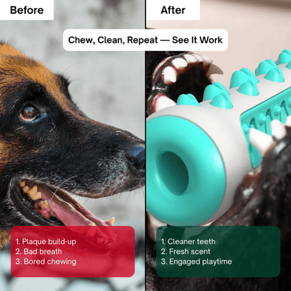 GnawGuard™ – Daily dental care disguised as fun.