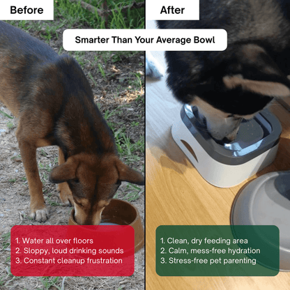 HydroGuard™ Anti-Splash Pet Bowl