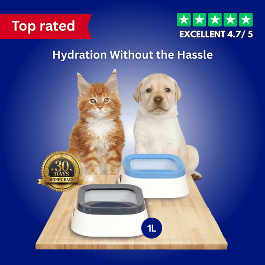 HydroGuard™ Anti-Splash Pet Bowl