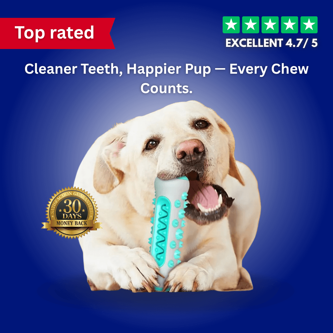 GnawGuard™ – Daily dental care disguised as fun.