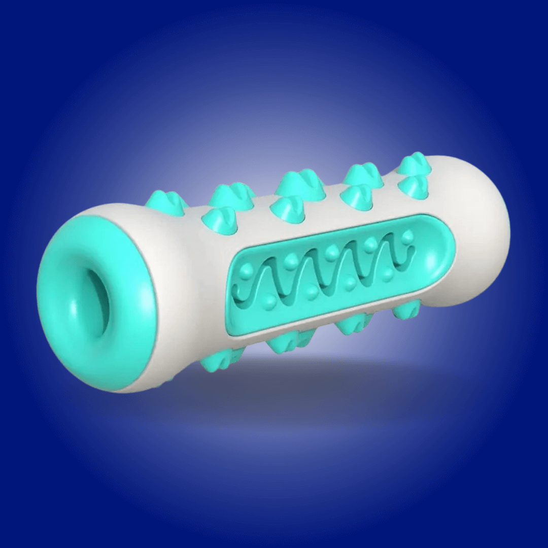 GnawGuard™ – Daily dental care disguised as fun.