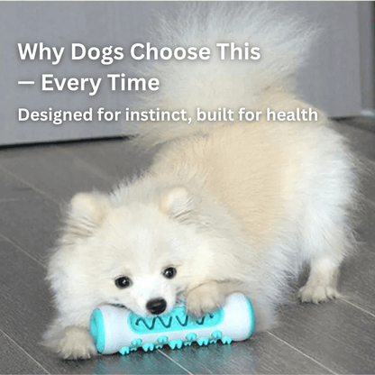 GnawGuard™ – Daily dental care disguised as fun.