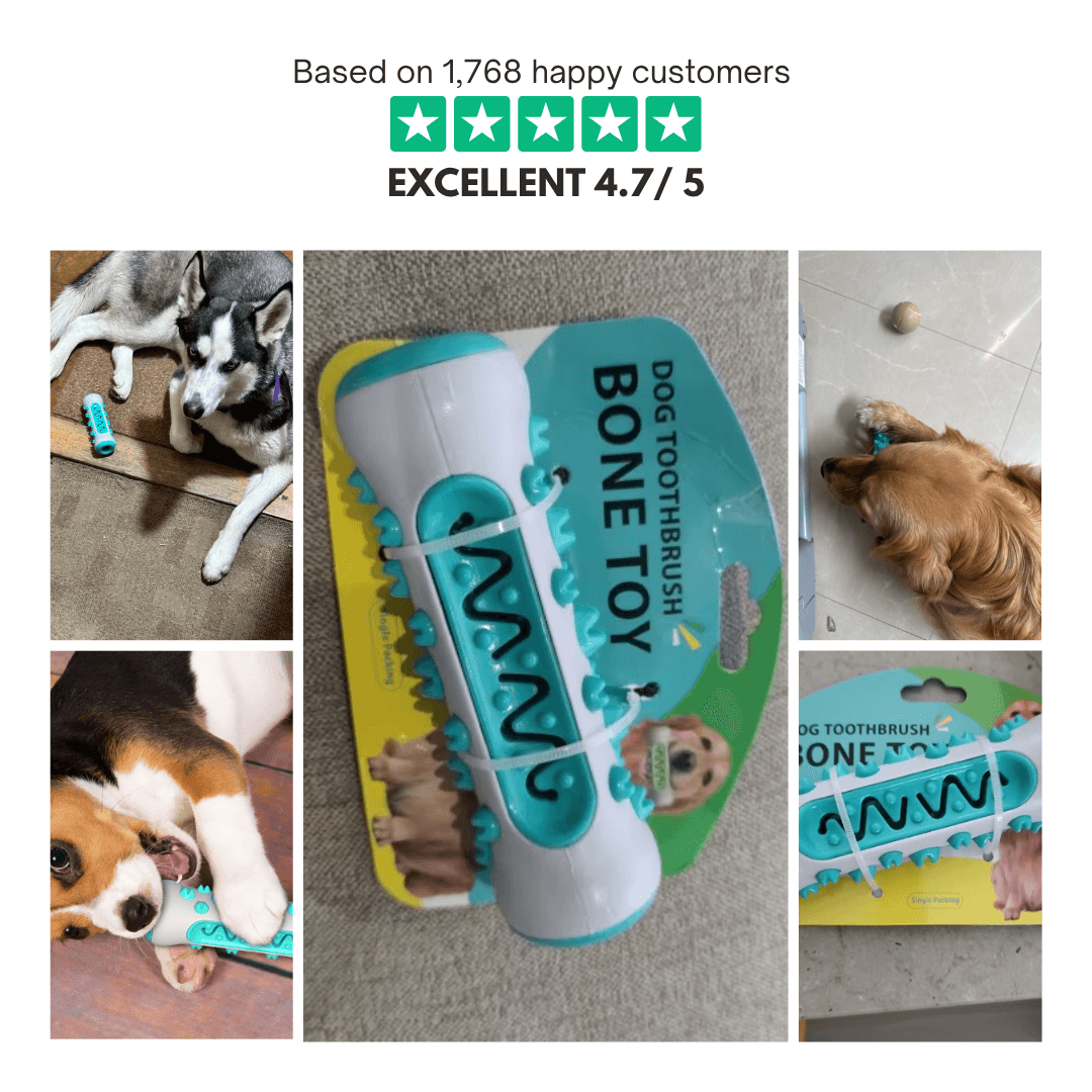 GnawGuard™ – Daily dental care disguised as fun.