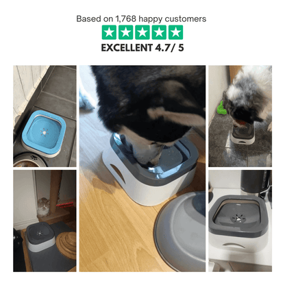 HydroGuard™ Anti-Splash Pet Bowl