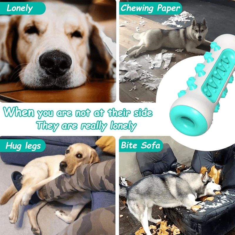 GnawGuard™ – Daily dental care disguised as fun.