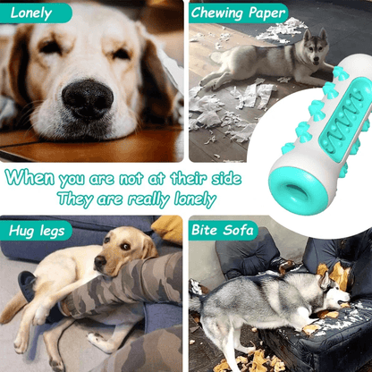 GnawGuard™ – Daily dental care disguised as fun.