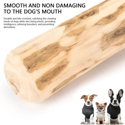 Coffee Wood Dog Chew Stick – Natural Teeth Cleaner & Anxiety Relief Toy