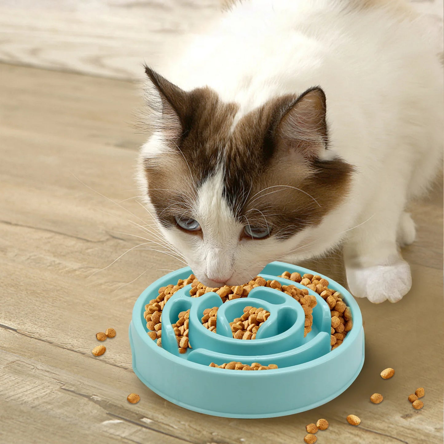 Non-Slip Slow Feeder Pet Bowl – Durable & Suited for All Pet Sizes