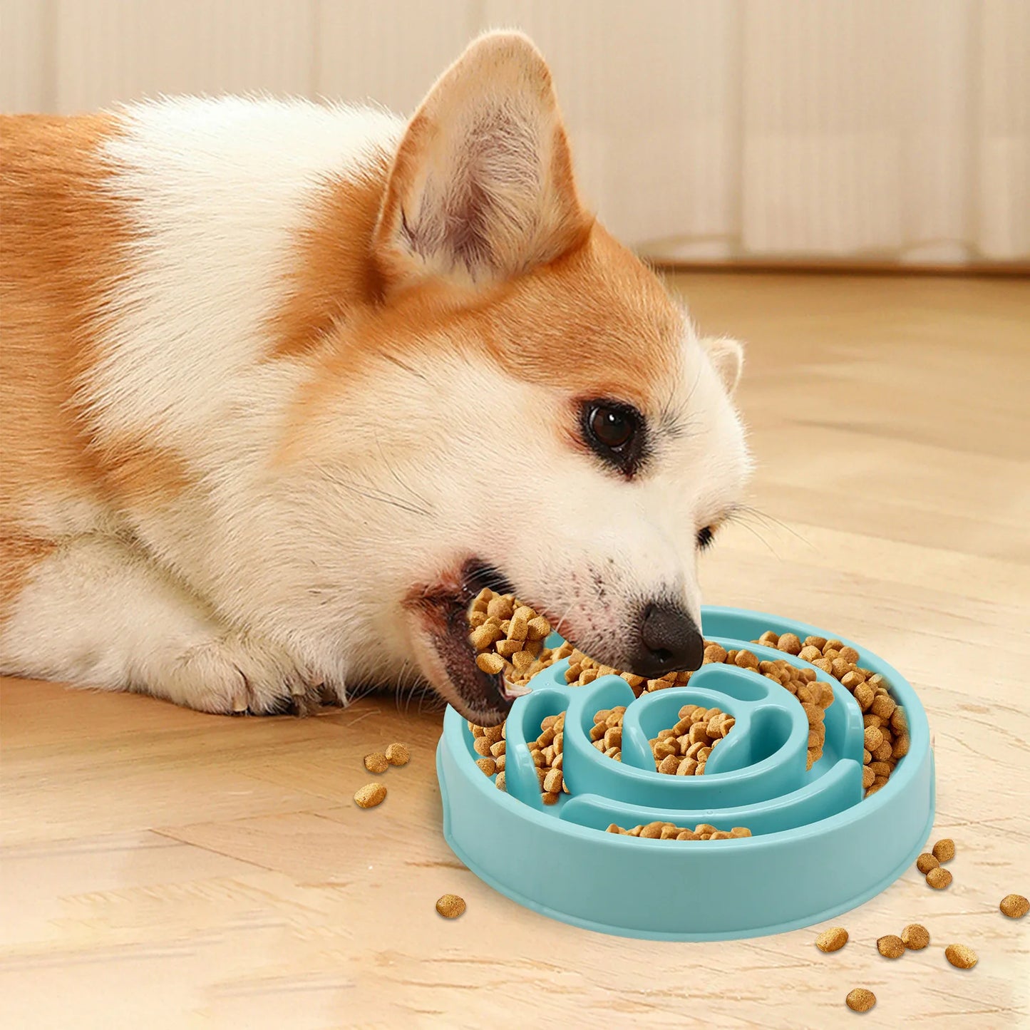 Non-Slip Slow Feeder Pet Bowl – Durable & Suited for All Pet Sizes