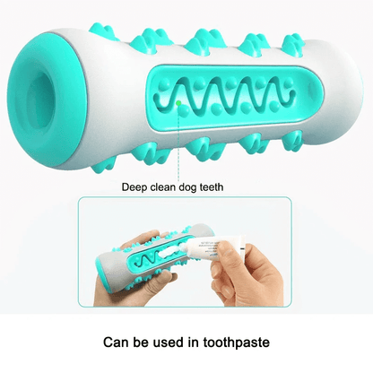 GnawGuard™ – Daily dental care disguised as fun.