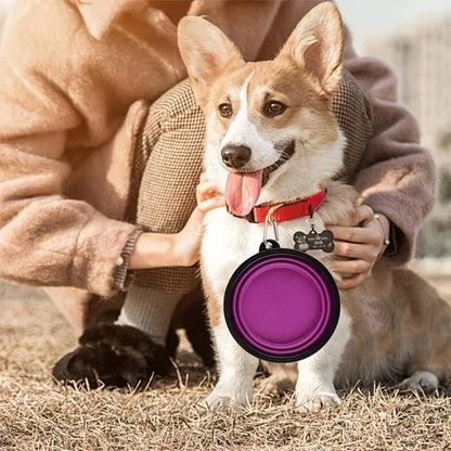 Collapsible Silicone Pet Bowl – Portable, Durable Travel Feeder for Dogs & Cats