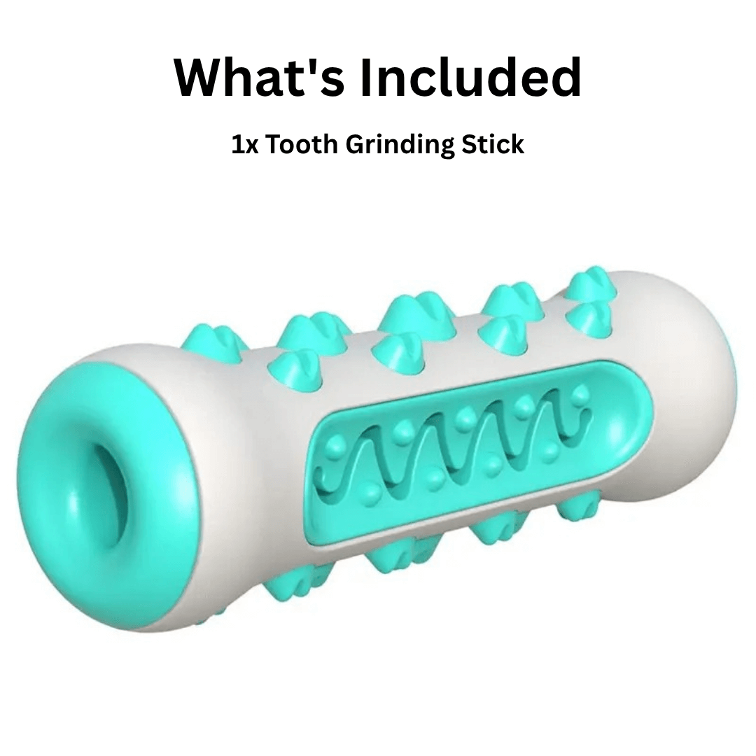 GnawGuard™ – Daily dental care disguised as fun.